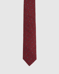 DITSY PASILEY TIE MENS ACCESSORIES