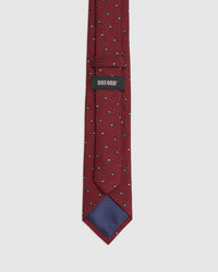 DITSY PASILEY TIE MENS ACCESSORIES